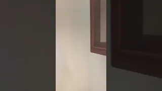 مهرجان يا هلا والله فيلو الدخلاويه دندنها
