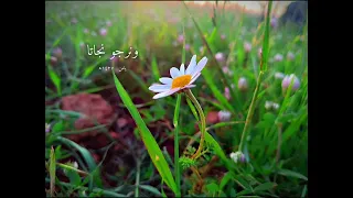 كرهت النفاق وقوم لوؤم  النفاق  اناشيد  ستوريات انستا حزينه  ستوريات انستا قصيرة اقتباسات  ترند  تيك  دندنها