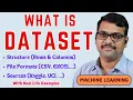 What is Dataset in Machine Learning Importance of Dataset Sources File Formats ML