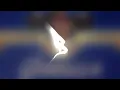 OLIVIA LA FLAKA - Natanael Cano, Tito Doble P, Víctor Mendivil, Ovi