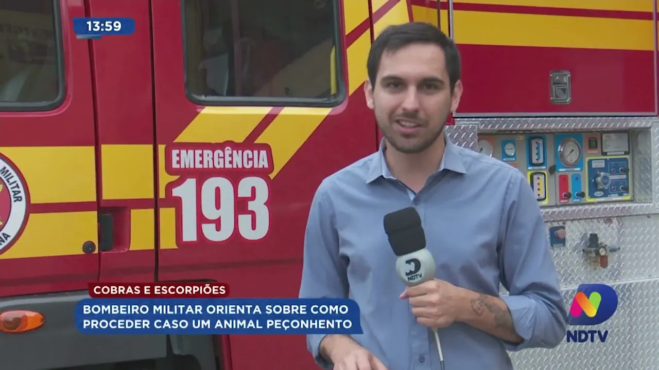 Bombeiro orienta procedimento ao encontrar animal peçonhento