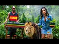 Download Lagu Best Roots Reggae 2025 – Zion’s Fire, Redemption Dub \u0026 Rise from Babylon