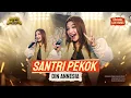 Download Lagu DIN ANNESIA - SANTRI PEKOK (OFFICIAL LIVE MUSIC)