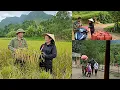 Download Lagu Single mother and divorced husband harvest rice together to avoid upcoming storm No. 11.dangthidu 