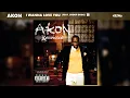 Akon - I Wanna Love You ft. Snoop Dogg (432Hz)