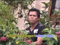 Download Lagu Gabema Trio - Nahinali Bakkudu