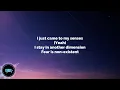 Metro Boomin & Swae Lee, Lil Wayne, Offset - Annihilate (lyrics)