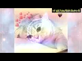 Download Lagu Cố giữ hay phải Quên đi :nghe đi rồi khóc tâm trạng buồn