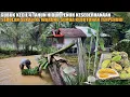 Download Lagu GUBUK KECIL 4 TAHUN HIDUP PENUH KESEDERHANAAN, TIAP HARI BISA MAKAN ENAK WALAUPUN TINGGAL DI HUTAN