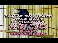 Download Lagu 30 MENIT TERAPI HARIAN PEMULIHAN KACER STRES DAN MACET BUNYI