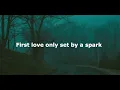 Cage The Elephant - Too Late To Say Goodbye