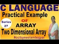 Practical Example of Two Dimensional Array Two Dimensional Array use in C Program by Neelam Bajpai