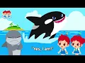 Great White Shark vs. Orca Rematch! | Who Will Be the Winner? | Animal Songs for Kids | JunyTony