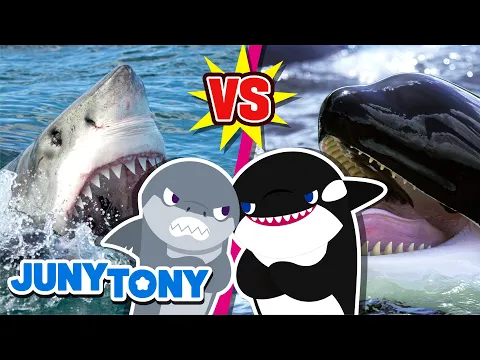 Download MP3 Great White Shark vs. Orca Rematch! | Who Will Be the Winner? | Animal Songs for Kids | JunyTony