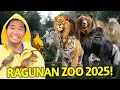 Download Lagu RAGUNAN ZOO 2025! KONDISI LAGI HUJAN TERUS! KEBUN BINATANG TERBESAR DI TENGAH KOTA JAKARTA!
