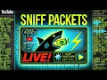 Sniffing Network Packets LIVE with Wireshark