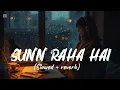 Download Lagu Sunn Raha Hai Na Tu Female [ Slowed + reverb ] | Aashiqui 2