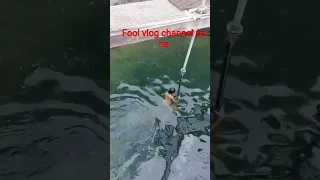 Https Youtu Be O3fl4ZxqYMI Si GGR7xLN4nktFzDC4 