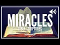 Bible Verses For Miracles What Does The Bible Say About Miracles