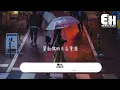 阿梨粵 - 傻女『美麗故事主人，飾演你舊年共尋夢的戀人，再去做沒流着情淚的伊人，假裝再有從前演過的戲份。』【動態歌詞MV】【粵語歌】