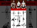 Download Lagu 🔝MEJORES EJERCICIOS para BÍCEPS y ANTEBRAZO en el GIMNASIO