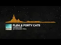 [Melodic House] - Fløa & Forty Cats - Manautee (Extended Mix)