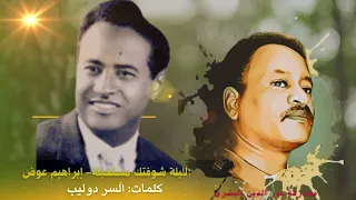 الليلة شوفتك مستحيلة ايام لقانا بدر الدين البشرى 