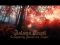 Download Lagu Relaxing Celtic Music - Autumn Forest