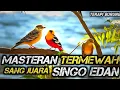 Download Lagu TERAPI UNTUK SEMUA JENIS BURUNG , SUARA GEMRICIK AIR , MASTERAN MEWAH SANG JUARA SINGO EDAN