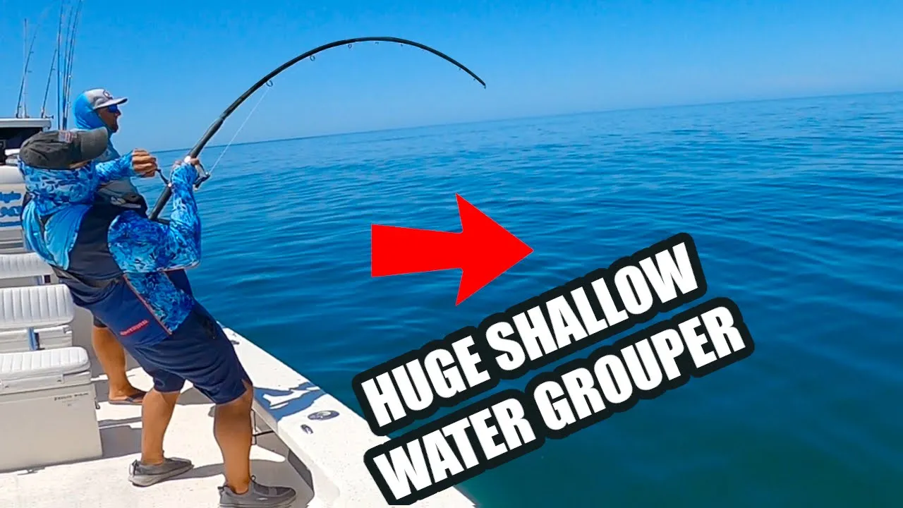 Catching HUGE Gag Grouper In Shallow Water (Saltwater Florida Fishing Adventures In Crystal River)