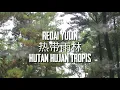 热带雨林 Redai Yulin~S.H.E ( Lirik + Terjemahan )