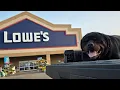 Samson takes over lowes
