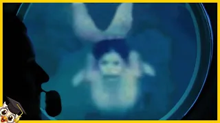 10 mermaids caught on camera in real life