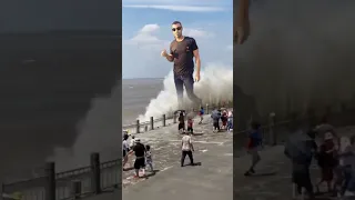 رجع الأسد للغابه  رجع الأسد للغابه