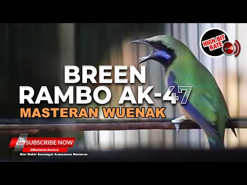 Download MP3 🔴Masteran Cucak Cungkok GACOR Bren Rambo AK-47