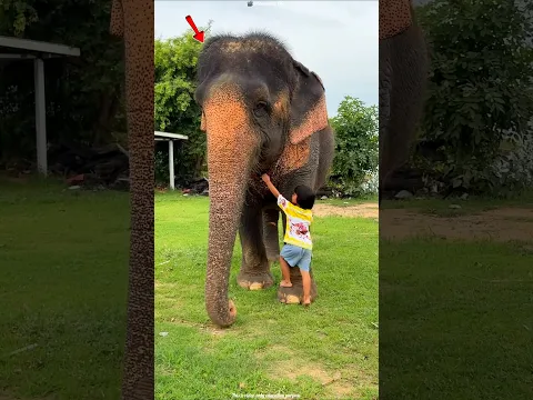 #bts