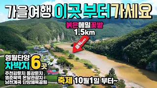 단양 영월 동강 믿고가는 차박지 6곳, 동강 붉은메밀꽃 축제 10월1일 부터, 차박 실태정보 주천강둔치 동강둔치 영춘북벽 온달관광지남천계곡 단양체육공원 캠핑카여행 썸네일