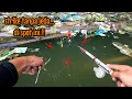Download Lagu PEMANCING MANA YANG GAK NGILER LIAT VIDIO SEPERTI INI || mancing ikan red devil NAHOL MANIA