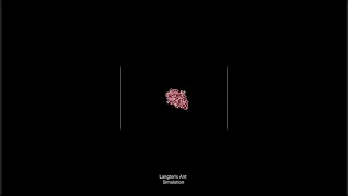 Langton s Ant Simulation using python
