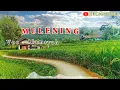 Download Lagu Lagu Gayo Terbaru 2025 _ Mulening _ Alamsyah