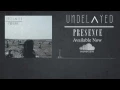 UNDELAYED - PRESENCE (Lyric Video)