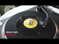 Horace Andy "Skylarking" + Version (7" Vinyl)