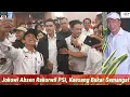 Lagu Kaesang Kumpulkan Ribuan Kader PSI Kandang Banteng Solo, Jokowi Absen Orasi Politik, Suporter Datang