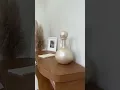 Vídeo do produto Vídeo do produto