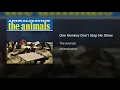 One Monkey Don't Stop No Show