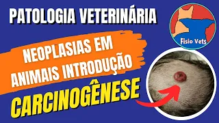Carcinogenesis - Introduction to Neoplasms in Veterinary Medicine (Part 1) - General Pathology