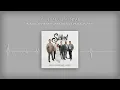 Banda Los Sebastianes De Saúl Plata, Matisse - Por Salud Mental (Audio)