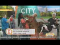 Dogtopia Opening