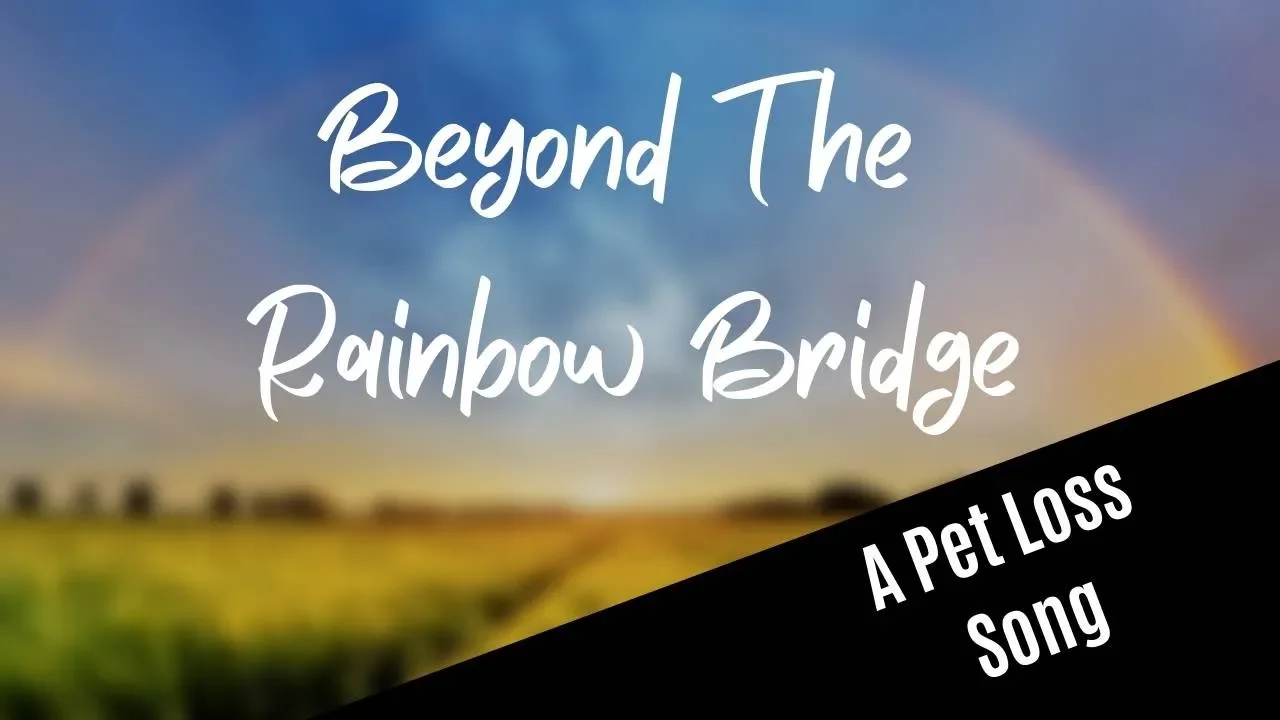 Beyond The Rainbow Bridge lyric video Beyond The Rainbow Bridge lyric video