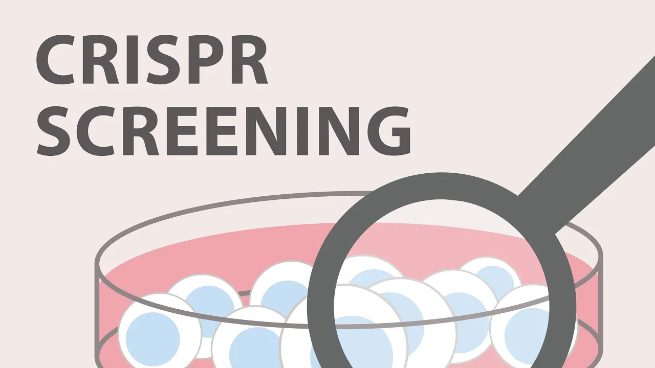 CRISPR Cas9 Screening & Validation Strategies: A Workflow Guide